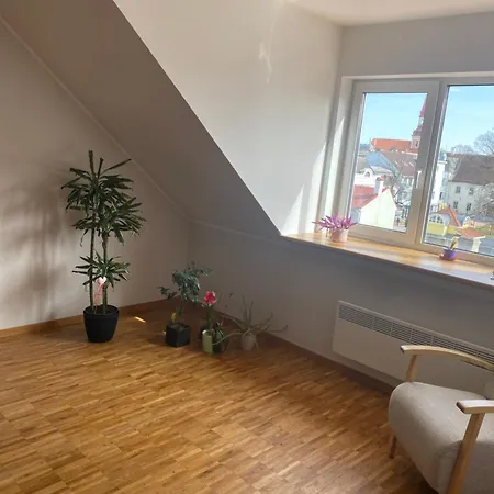 Penthouse In City Center Apartmán